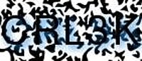 grafischer Sicherheitscode